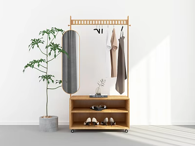 Wooden Clothes Rack with Hanging Rod Mirror Storage Cabinet and Potted Plant 3d model