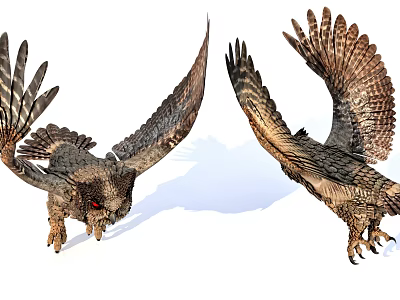 Two Flying Owls With Spread Wings In Mid Flight Showing Detailed Feather Patterns 3d model