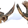 Two Flying Owls With Spread Wings In Mid Flight Showing Detailed Feather Patterns
