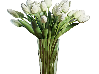 White Tulips in Transparent Green Vase with Green Stems and Water 3d model