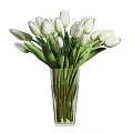 White Tulips in Transparent Green Vase with Green Stems and Water