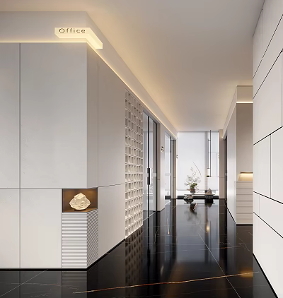 Modern Office Corridor Interior With White Decorative Walls Black Polished Floors And Recessed Lighting 3d model