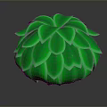 Vibrant Green Spherical Plant With Layered Leaves And Shiny Reflective Surface