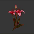 Vibrant Pink Lilies With Blooming Flowers Bud And Green Leaves Arrangement
