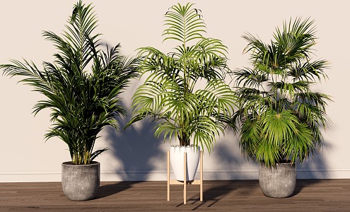 Green plant combination potted plant combination 3d model