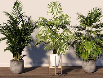 Green plant combination potted plant combination 3d model