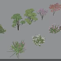 Various Ornamental Shrubs with Pink Flowers and Green Foliage for Garden Landscaping
