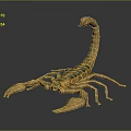 Yellow And Green Scorpion With Long Tail Large Pincers Shiny Exoskeleton On Gray Background
