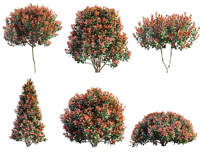 Colorful Garden Shrubs With Red And Green Leaves In Various Shapes 3d model