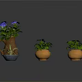 Various Green Plants in Terracotta Pots with Blue Purple and White Flowers