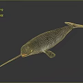 Realistic Narwhal With Long Spiral Tusk Gray Body On Dark Background