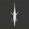 Crocodile Alligator Nile Crocodile carnivore reptile cold-blooded animal reptile 3d model