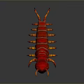 Red Orange Fantasy Creature With Large Blue Eye Long Antennae And Many Legs 3D Rendering