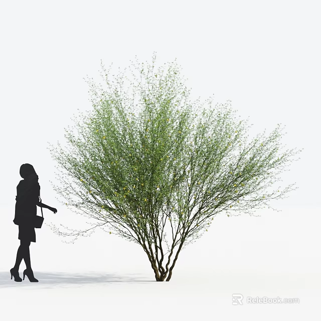 Lush Green Shrub With Silhouette of a Woman Approaching In Simple White Background Scene 3d model 
