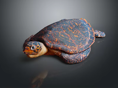 Vibrant Turtle With Blue Orange Patterned Shell And Yellow Spotted Head On Gray Background 3d model