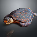 Vibrant Turtle With Blue Orange Patterned Shell And Yellow Spotted Head On Gray Background 3d model