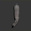 Detailed Lifelike Grey Donkey Standing On Dark Background