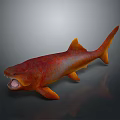 Red and orange shark 3D rendered with open mouth on gray background with reflection 3d model