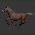 Brown Horse With White Face Mane And Tail Running On Gray Background