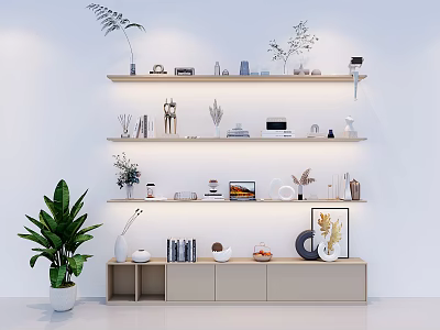Minimalist Modern Decorative Ornaments Set On Wall Shelves With Plants Photo Frames And Vases 3d model