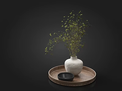 Decorative Ornament Set With White Vase Green Plants And Black Small Bowl On Wooden Tray 3d model