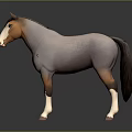 Gray And Brown Horse Figure With White Face And Legs On Dark Background