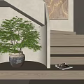 Bonsai Potted Plant On Wooden Platform Next To Stairs With Sunlight Shadows In Modern Interior