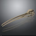 Bird Skull With Long Beak On Dark Background Showing Reflection On Smooth Surface