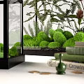Decorative Ornament Set With Small And Large Glass Greenhouse Terrariums Plants And Stacked Books