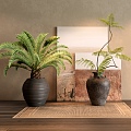 Quiet Vase Jewelry Ornaments Plant Potted Plant Decorative Painting Carpet 3d model