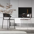Modern Black And Transparent Leisure Chairs In Living Room With Fireplace Cabinet And Plant