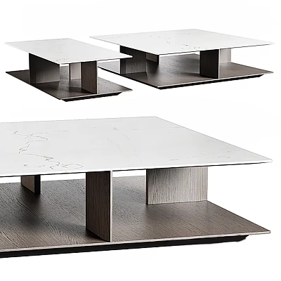 Modern Coffee Table With Sleek White Marble Surface And Wooden Lower Shelf 3d model