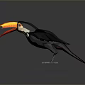 Toucan Flying With Vibrant Beak And Black Feathers On Dark Background