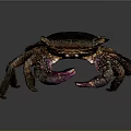 Detailed Crab With Dark Carapace Purple Claws And Multiple Legs On Dark Background