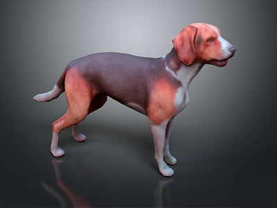 Brown and Purple Dog 3D Model Standing on Dark Shiny Background Surface 3d model