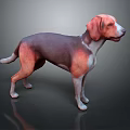 Brown and Purple Dog 3D Model Standing on Dark Shiny Background Surface