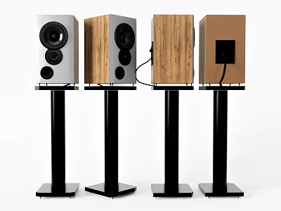 Modern Speakers With Different Materials And Black Stands For Audio System Setup 3d model