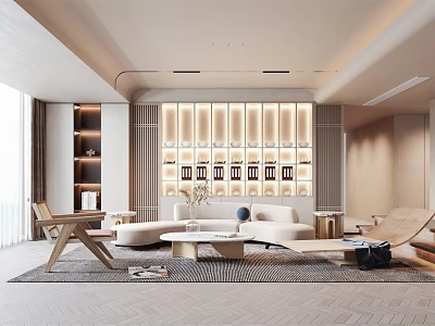 Modern Living Room Interior Design With White Sofa Coffee Table Area Rug And Decorative Shelves 3d model