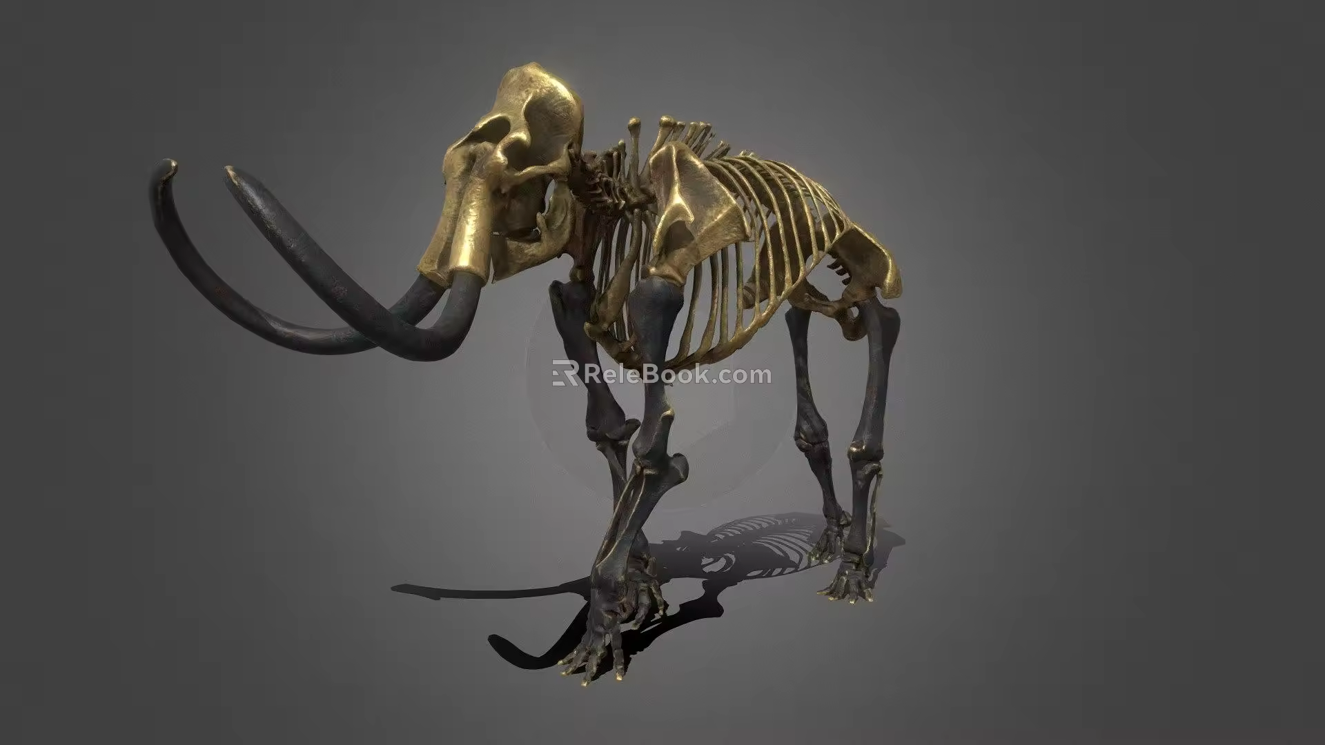 Modern skeleton mammoth 3d model