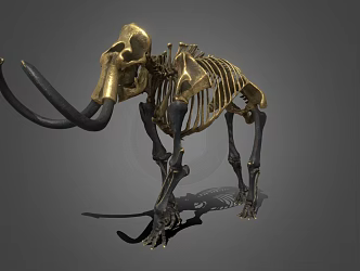 Modern skeleton mammoth 3d model
