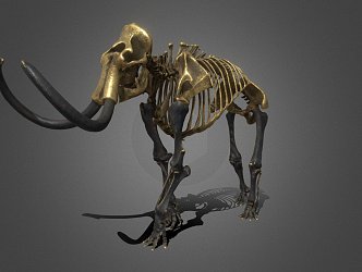 Modern skeleton mammoth 3d model