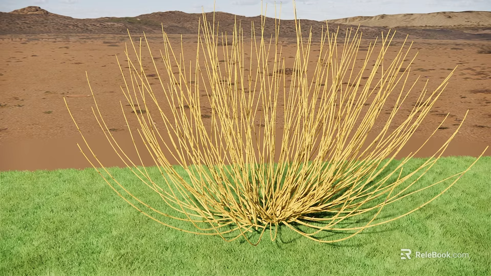 Yellow Branch Shrub Growing on Green Grass with Brown Sand and Distant Hills 3d model 