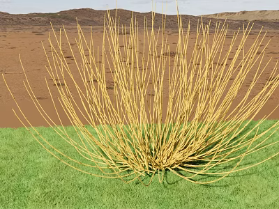 Yellow Branch Shrub Growing on Green Grass with Brown Sand and Distant Hills 3d model