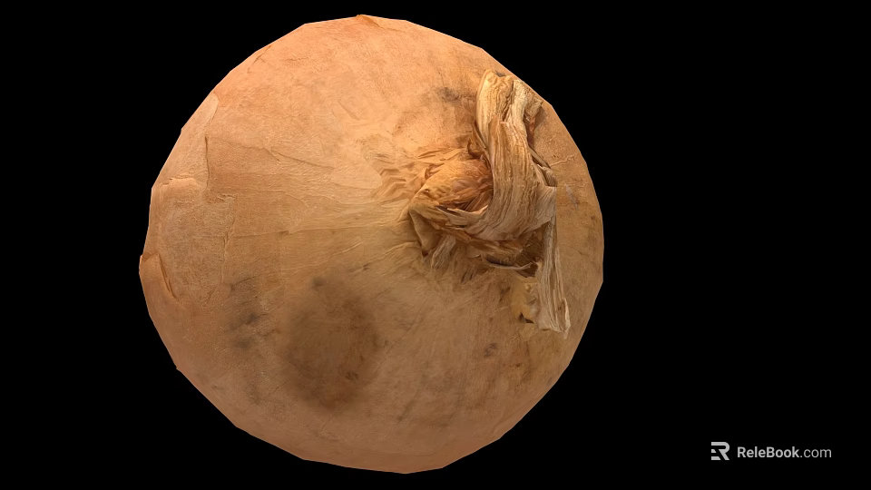 Whole Fresh Brown Onion With Dry Outer Skin And Natural Texture 3d model 