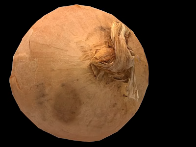 Whole Fresh Brown Onion With Dry Outer Skin And Natural Texture 3d model