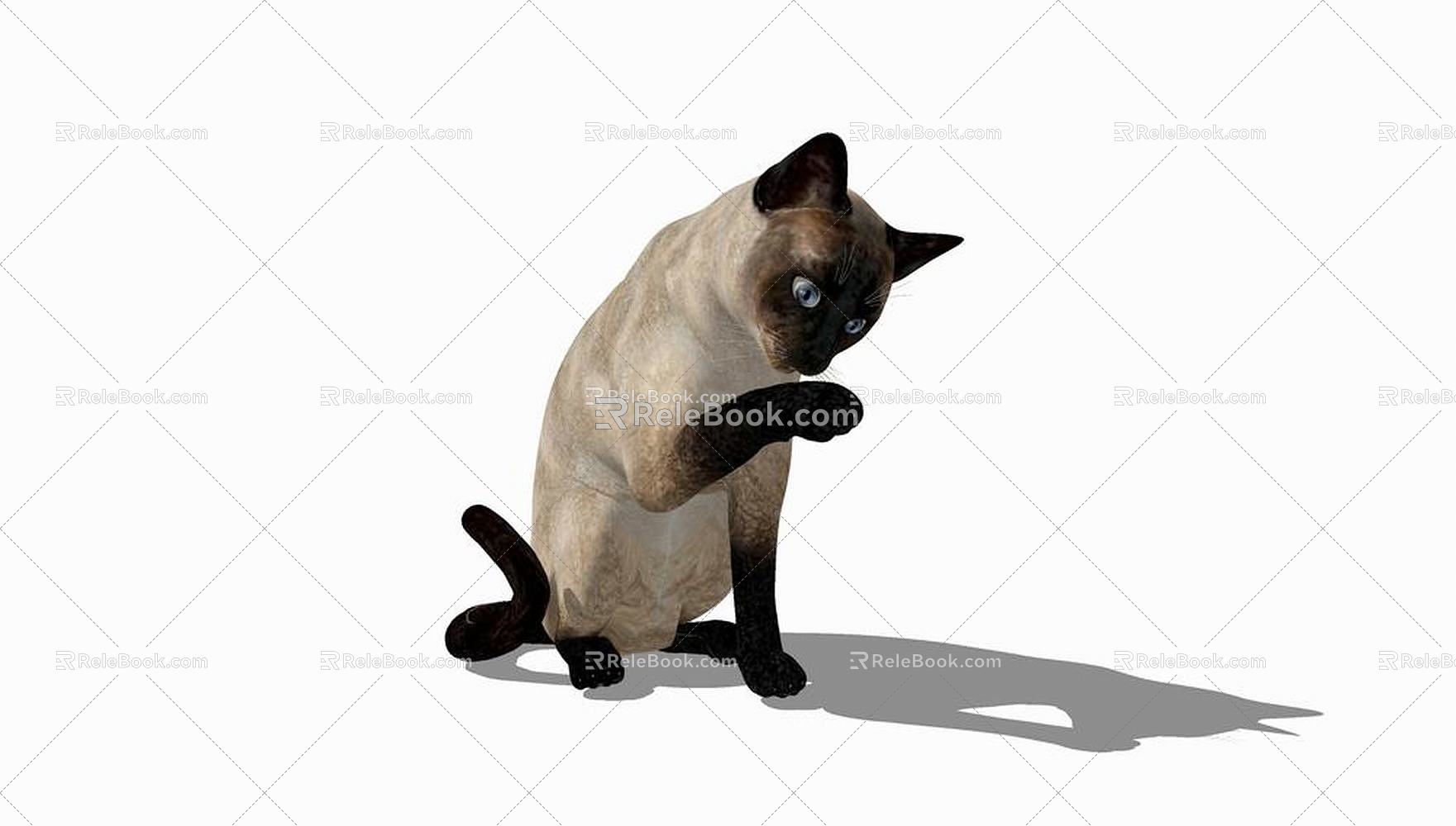 Modern Cat Animal Cat 3d model