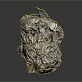 Organ Specimen With Hair Like Fibrous Textured Surface And Irregular Shape