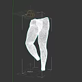 Realistic 3D Human Legs Model With Anatomical Structure And Standing Pose On Black Background 3d model