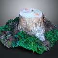 Lush Green Plants Growing Around Old Tree Stump On Forest Ground