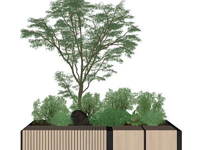 Bonsai Plant Arrangement with Tall Tree and Small Green Plants in Wooden Planter 3d model
